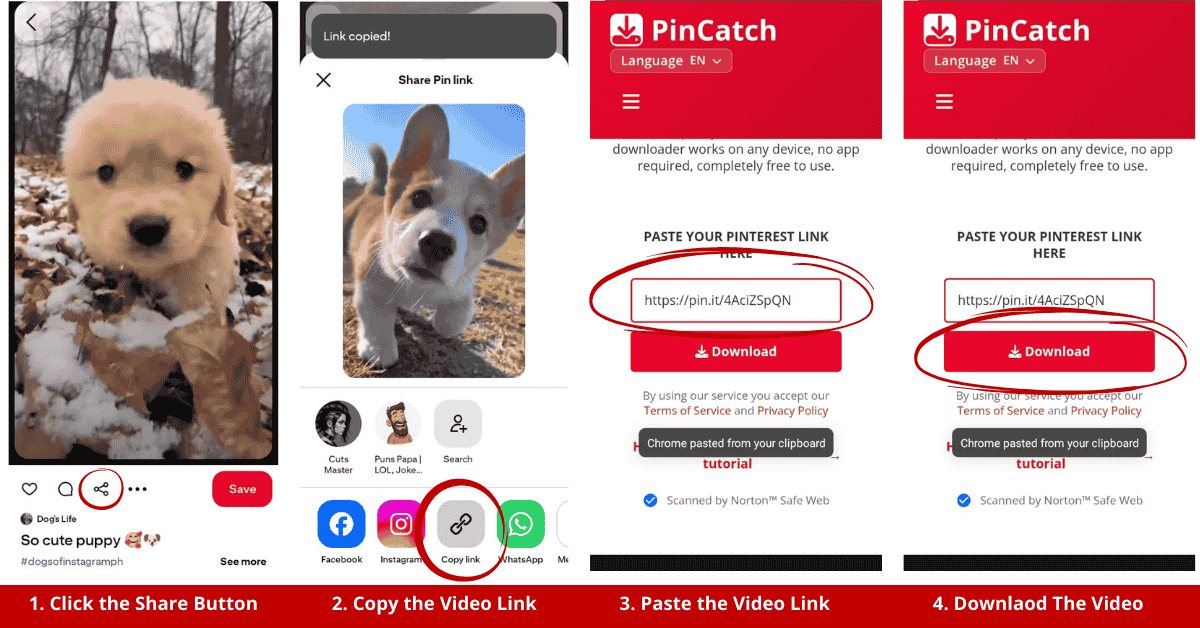 How to download videos on PinCatch
